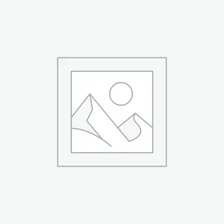 Phasellus varius turpis